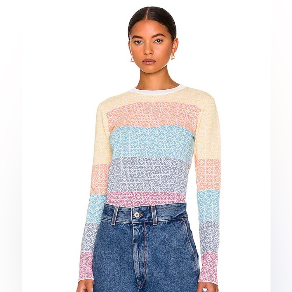 NWT Loewe Anagram Multicolor Sweater